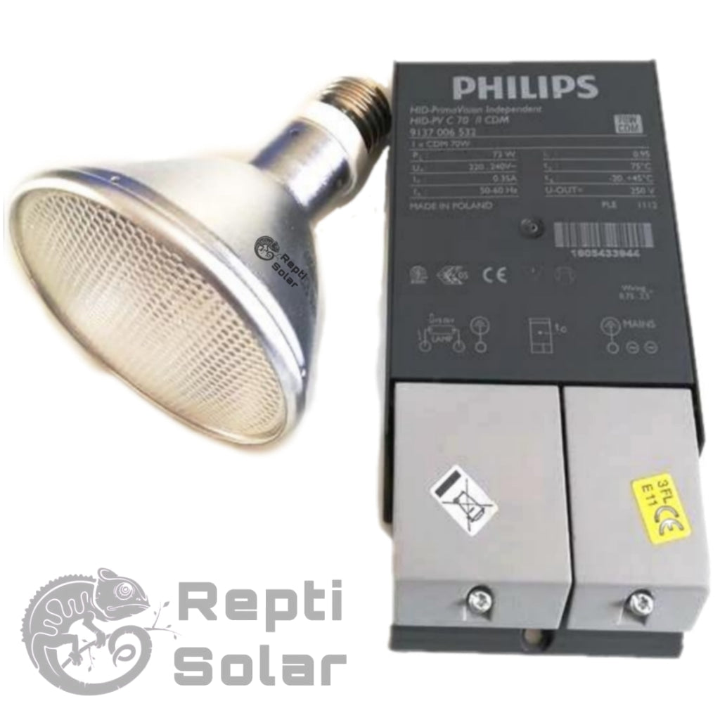 Pack Balastro + Bombilla Hid
