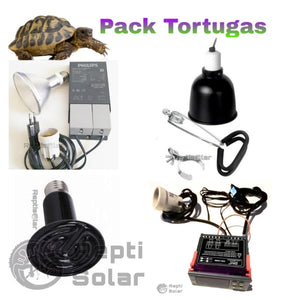 Pack Tortuga + Envío Gratis
